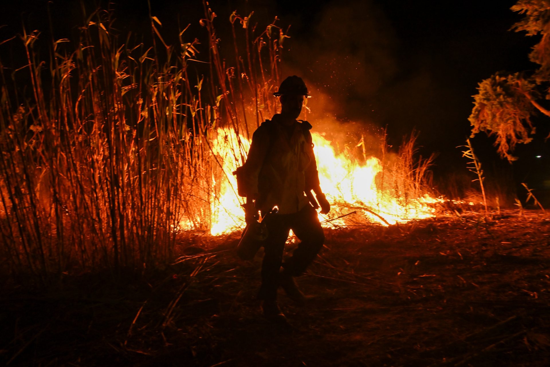 Thousands of state firefighters