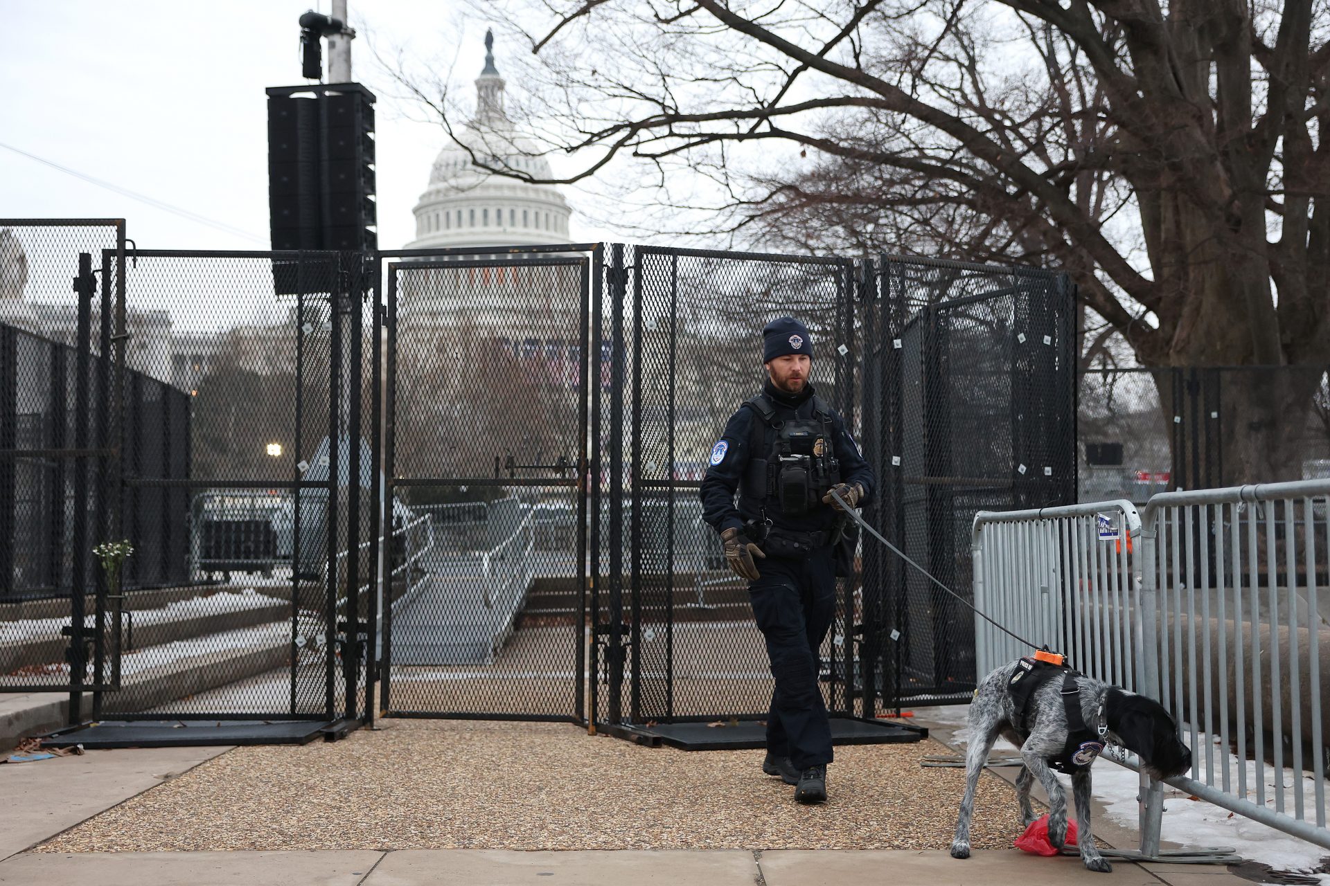 Miles of fencing and a new security plan 