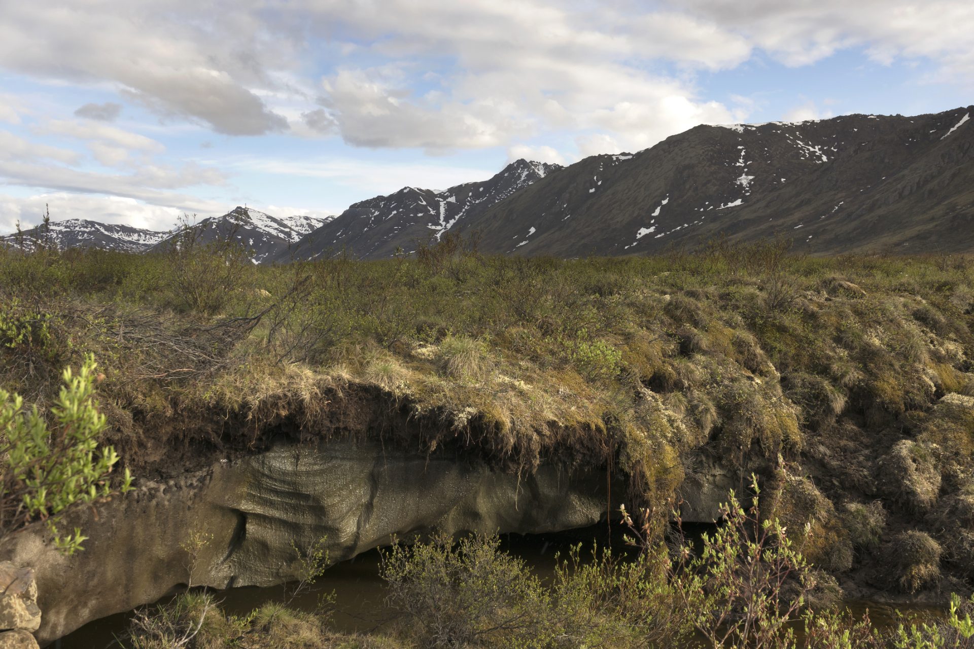 Deshielo del permafrost: riesgo de reaparición de microorganismos antiguos